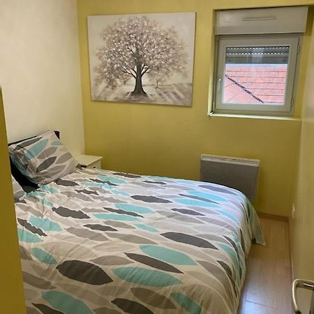 Bel Appartement Coeur De Ville Chalon-sur-Saône Dış mekan fotoğraf