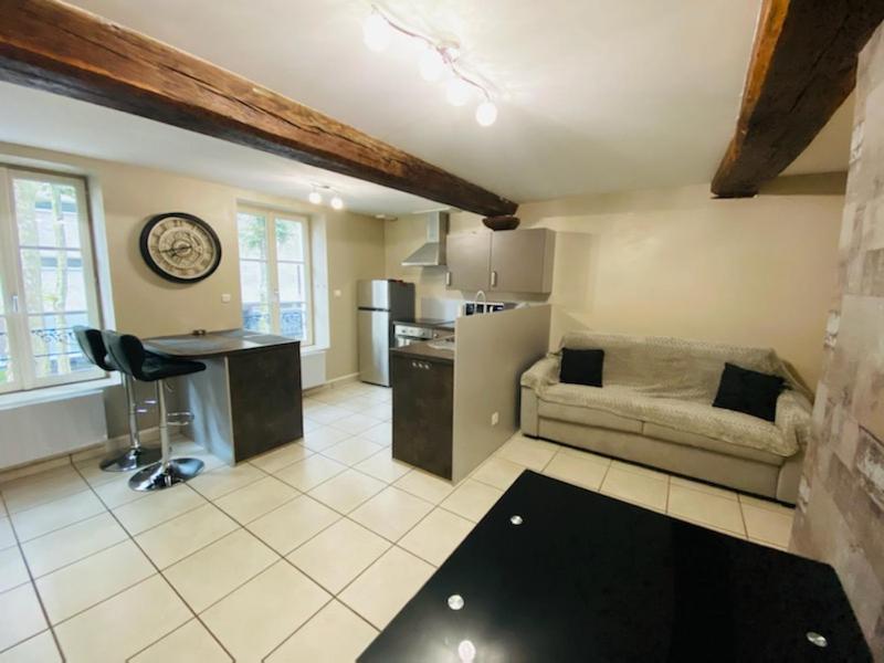 Bel Appartement Coeur De Ville Chalon-sur-Saône Dış mekan fotoğraf